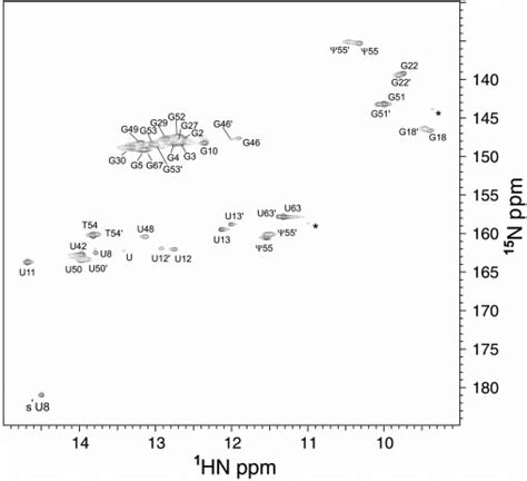 Sensitivity Enhanced N H Hsqc Spectrum Of B Subtilis Trna Trp A