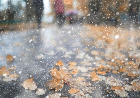 Der erste Schnee kommt ab Freitag Wie viel Schnee fällt