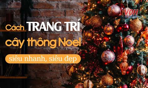 T Ng H P Nh Ng C Ch Trang Tr C Y Th Ng Noel Si U P