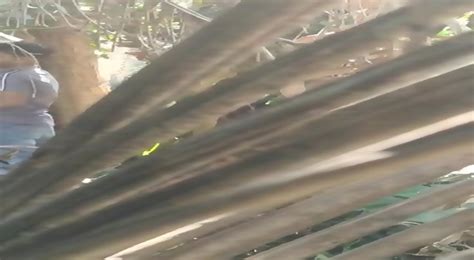 Desi Lovers Outdoor Masti Sex Spy Mms Video