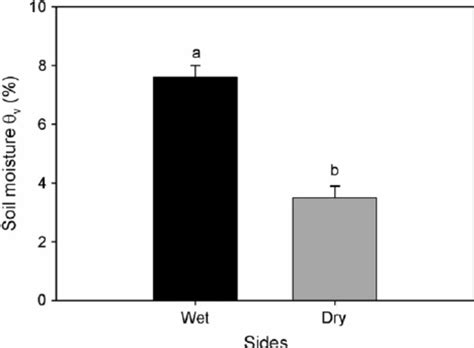 Volumetric Soil Moisture Content On The Wet And Dry Sides Of The