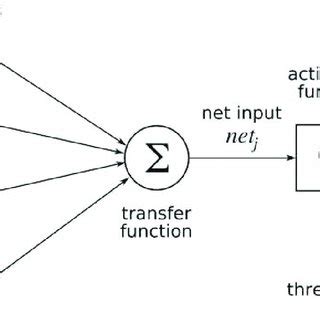 1 Artificial neuron model | Download Scientific Diagram