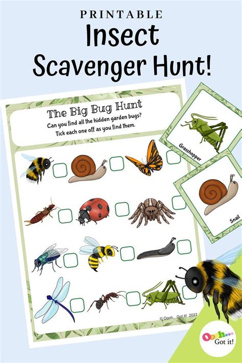 Bug Scavenger Hunt A Printable Creepy Crawler Picture Matching Game