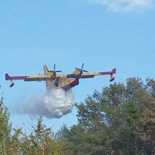 VASTO INCENDIO DISTRUGGE DIVERSI ETTARI DI MACCHIA MEDITERRANEA