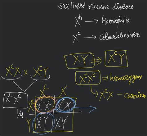 What Is Mean By Sex Linked Recessive Disease Haemophilia Hone Ke Male Me
