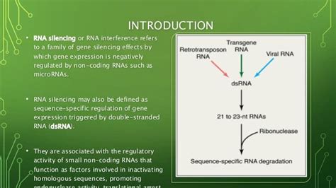 Rna Silencing In Plants