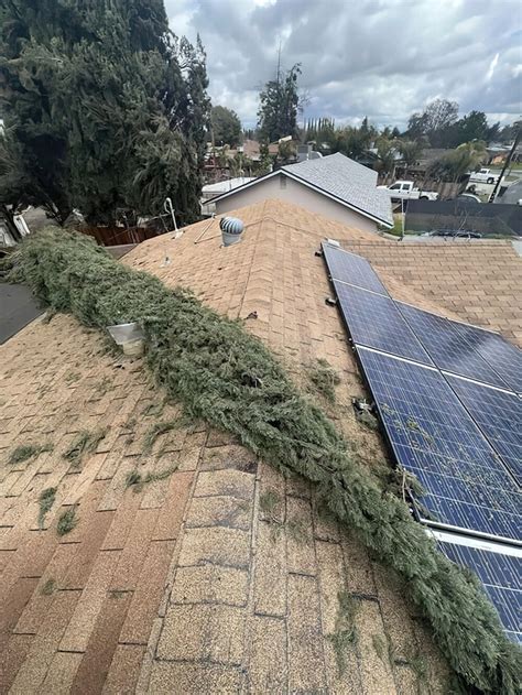 20 creepy neighbors you wouldn't wish on your enemy (21 photos) » Nevsedoma