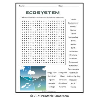 All About Ecosystem Word Search Puzzle No Prep Activity Printable PDF