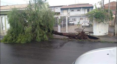 Chuva ventania derruba árvores e destelha casas Rádio FM Integração