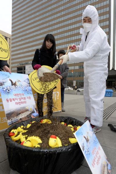 사진 대량축산 하지 맙시다 중앙일보