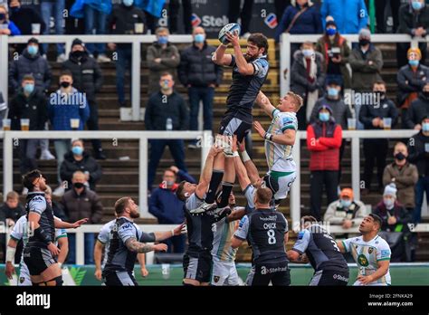 Greg Peterson Of Newcastle Falcons Hi Res Stock Photography And Images