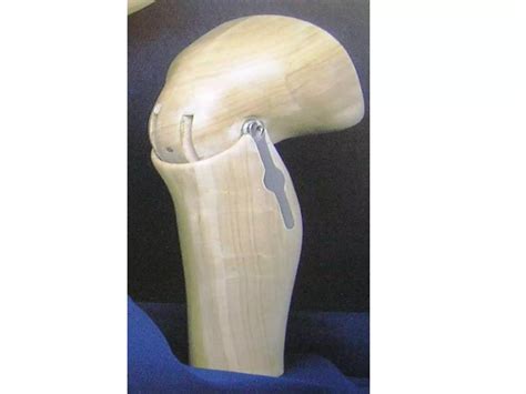 PROSTHETICS KNEE JOINTS.ppt