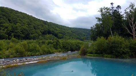 Blue Pond Aoiike : Biei Hokkaido | Visions of Travel