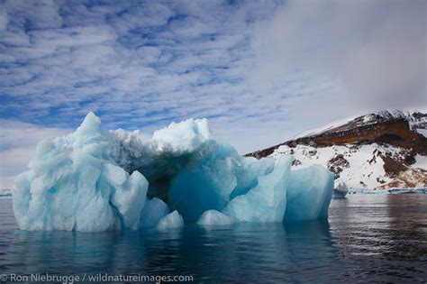 Antarctica Photos By Ron Niebrugge