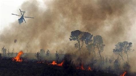 Incendios Forestales Causas Consecuencias Y Cómo Prevenirlos