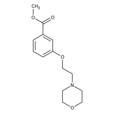 3 2 Morfolin 4 Iletoxibenzoato De Metilo 97 Thermo Scientific