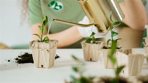 Diferencias Entre Ecolog A Y Ecologismo Todo Lo Que Necesitas Saber