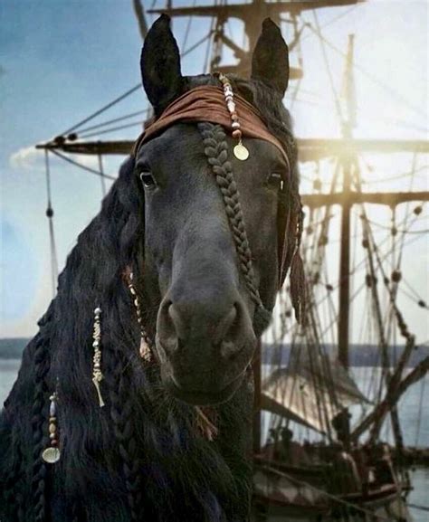 17 Horse costume ideas | horse costumes, horse halloween costumes