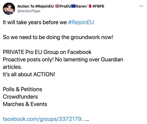 Brexit News Remainers Plot Campaign To Rejoineu And Ban Pro Leave