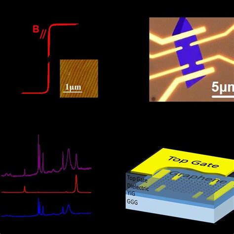 Pdf Proximity Induced Ferromagnetism In Graphene Revealed By The