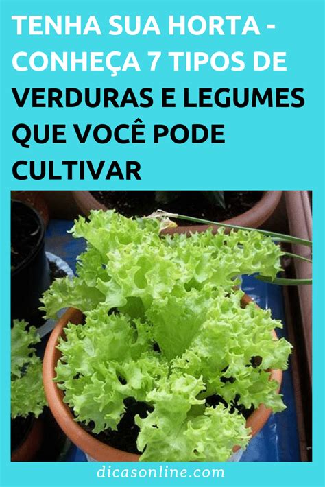 7 Verduras e legumes que você pode cultivar em casa mesmo pouco