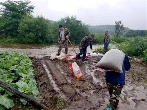 【防汛进行时】绥棱：全力抢险救灾 筑牢人民安全生命线澎湃号·政务澎湃新闻 The Paper