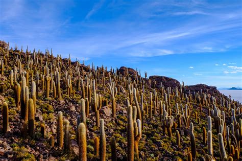 15 Photos Of Salar De Uyuni To Spark Your Wanderlust Lavi Was Here