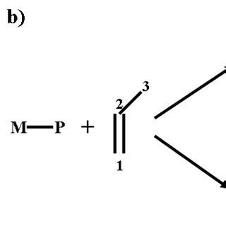 4: Overall reaction of propylene upon polymerization. | Download ...