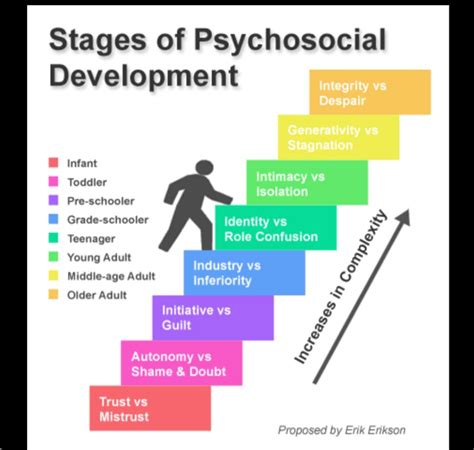 Erik Erikson S Eight Stages Of Psychosocial Development The Basics