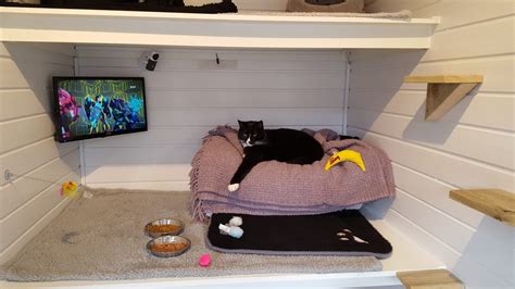 Cattery Preston The Paddocks Luxury Cat Hotel Whitestake