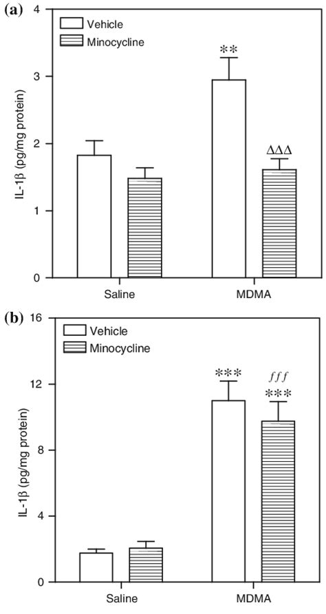 Effect Of Minocycline On The MDMA Induced Changes In Interleukin 1beta