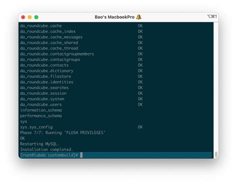 Upgrade The Mariadb Version On Directadmin