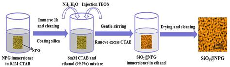 Schematic Diagram Of The Sio2 Layer Fabrication Download Scientific