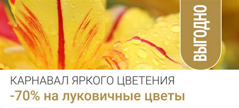 Интернет-магазин «Процветок» в Беларуси