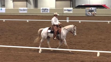 Wdaa Western Dressage World Show Open Basic Level Test