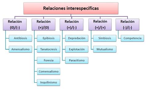 Relaciones interespecíficas qué es tipos y ejemplos OVACEN