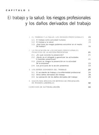 Manual Basico De Prevenci N De Riesgos Pdf