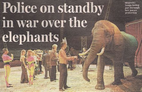 Circus Mania: The 100-year battle to ban animals in entertainment