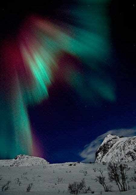 Северное сияние | Northern lights, Northern lights (aurora borealis ...