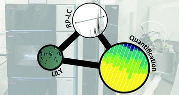 A Combined Flow Injection Reversed Phase Chromatographyhigh Resolution