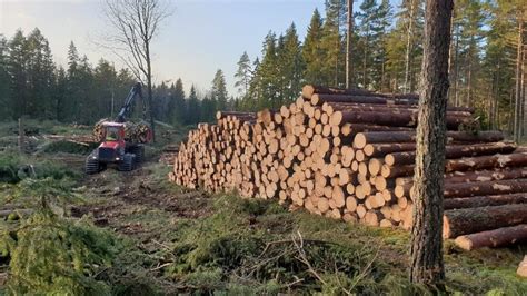 Skotstöd ett nytt verktyg för skotningsplanering Skogforsk