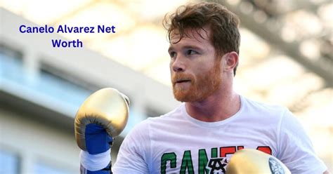 Canelo Alvarez Net Worth 2024: After $65 Million Berlanga Win, Saul
