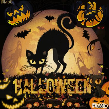 Frightened Halloween Cat Gif Pictures, Photos, and Images for Facebook ...