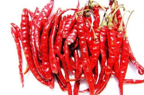 Seed Jinda Thai Whole Dried Chile Peppers 100g Very Hot 3 52 Oz Pack Of 1