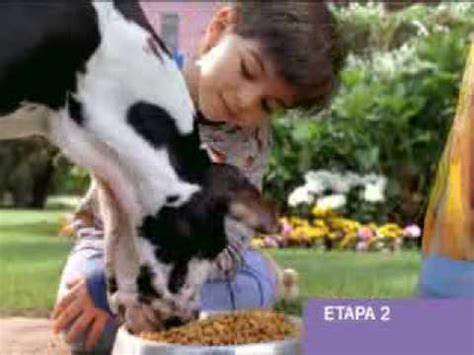 Sistema De Alimentacion Pedigree Mexico Youtube