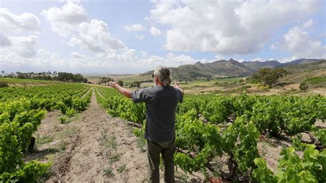 Le Swartland Nouvel Eldorado Des Vignerons Sud Africains Rtbf Actus