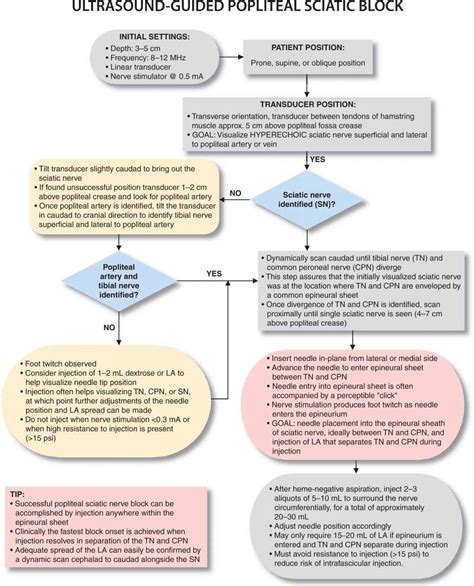 Essential Regional Anesthesia Anatomy | Anesthesia Key