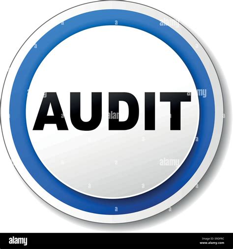 Vector Illustration Of Black And Blue Audit Icon Stock Vector Image