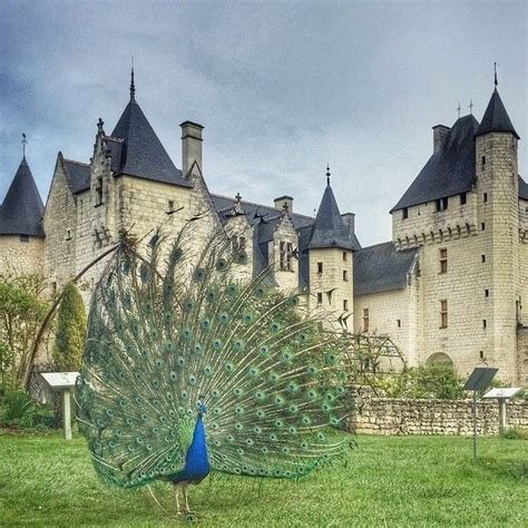 My Loire Valley On Instagram Le Ch Teau Des Contes De F E Avec