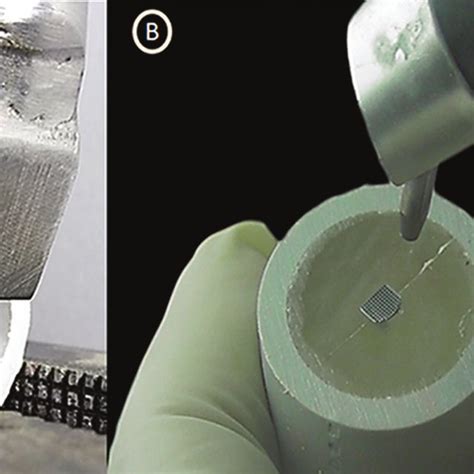 A Shear Bond Strength Test At The Universal Testing Machine Speed Download Scientific